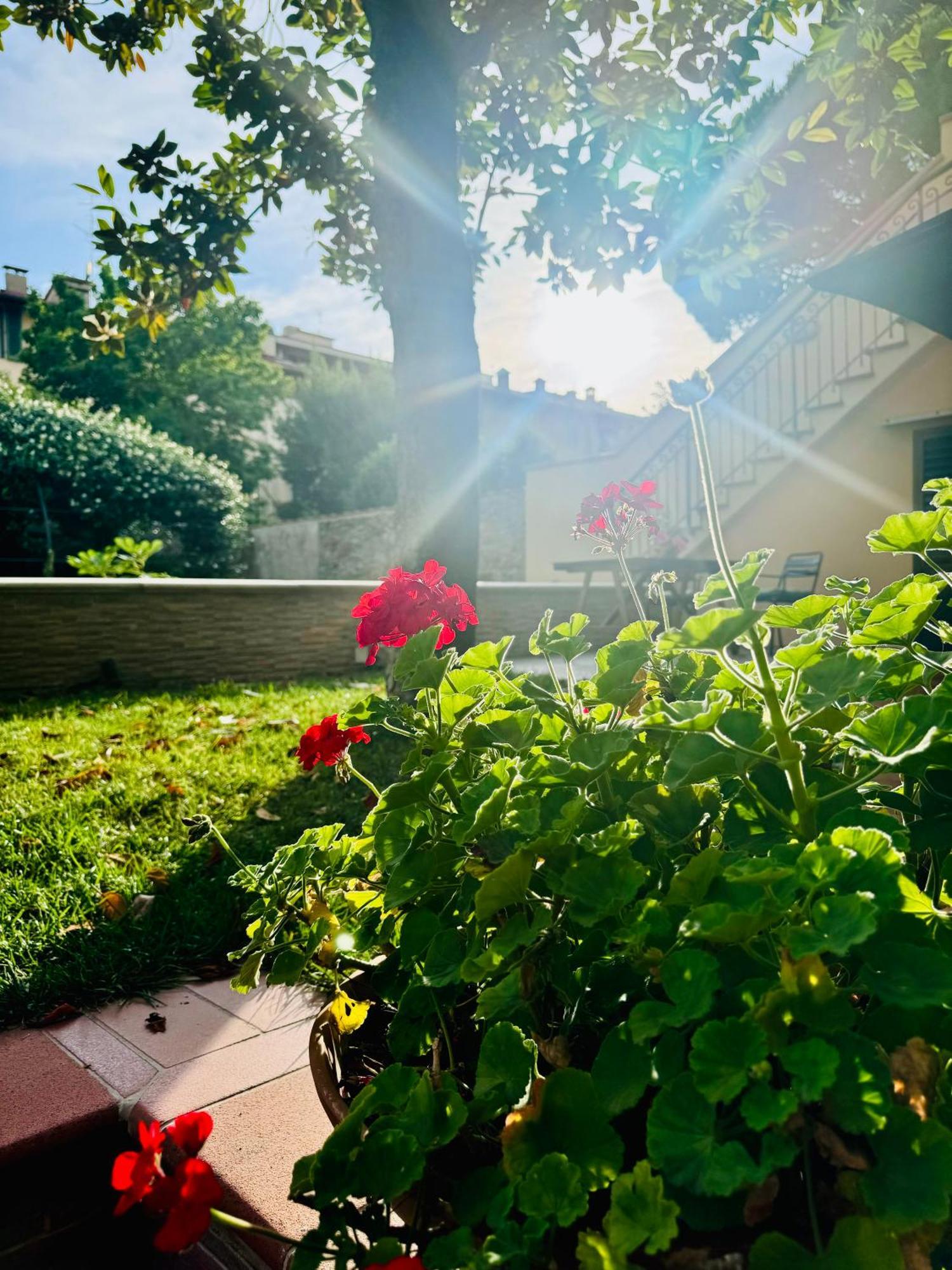 La Casa Di Grace Daire Floransa Dış mekan fotoğraf